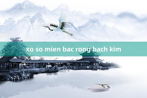 xo so mien bac rong bach kim