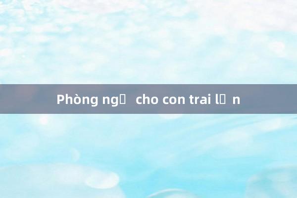 Phòng ngủ cho con trai lớn