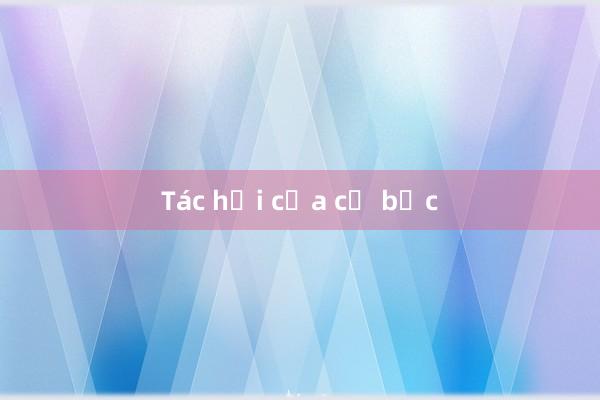 Tác hại của cờ bạc