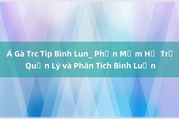 Á Gà Trc Tip Bình Lun_ Phần Mềm Hỗ Trợ Quản Lý và Phân Tích Bình Luận