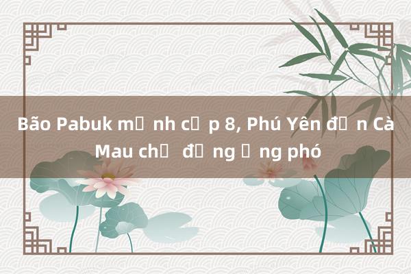 Bão Pabuk mạnh cấp 8， Phú Yên đến Cà Mau chủ động ứng phó