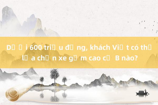 Dưới 600 triệu đồng， khách Việt có thể lựa chọn xe gầm cao cỡ B nào?