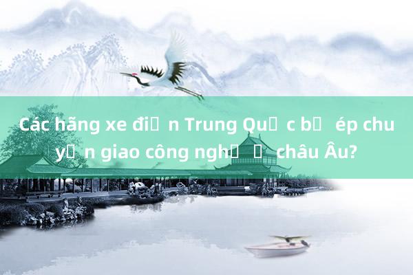 Các hãng xe điện Trung Quốc bị ép chuyển giao công nghệ ở châu Âu?