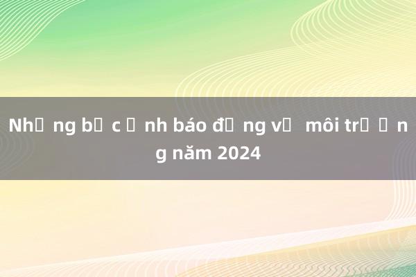 Những bức ảnh báo động về môi trường năm 2024