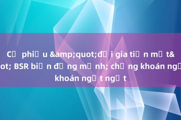 Cổ phiếu &quot;đại gia tiền mặt&quot; BSR biến động mạnh; chứng khoán ngột ngạt