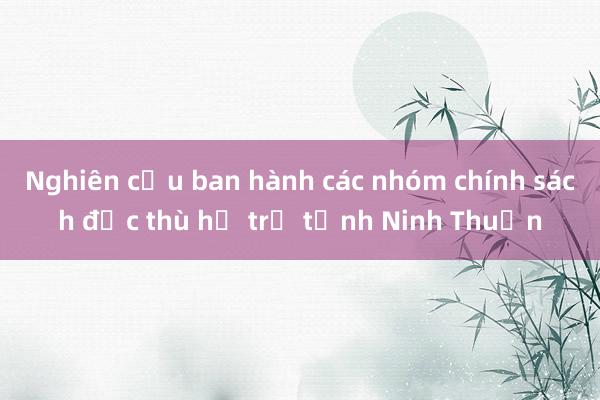 Nghiên cứu ban hành các nhóm chính sách đặc thù hỗ trợ tỉnh Ninh Thuận