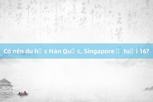 Có nên du học Hàn Quốc， Singapore ở tuổi 16?